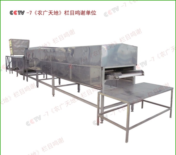 全自動黃豆芽清洗機