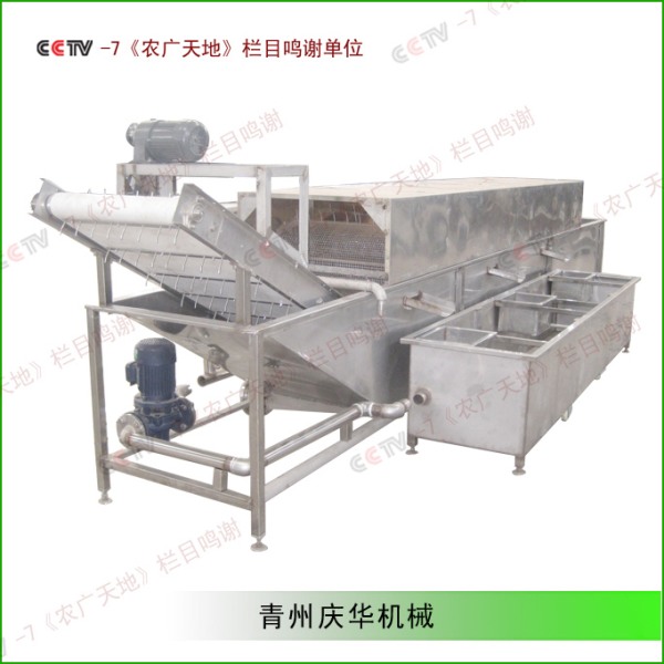 豆芽清洗殺菌機